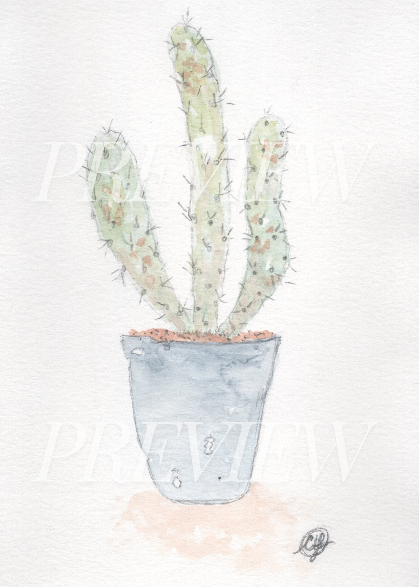 Plant Lady- Cactus collection set of 4 (5x7 Downloads)