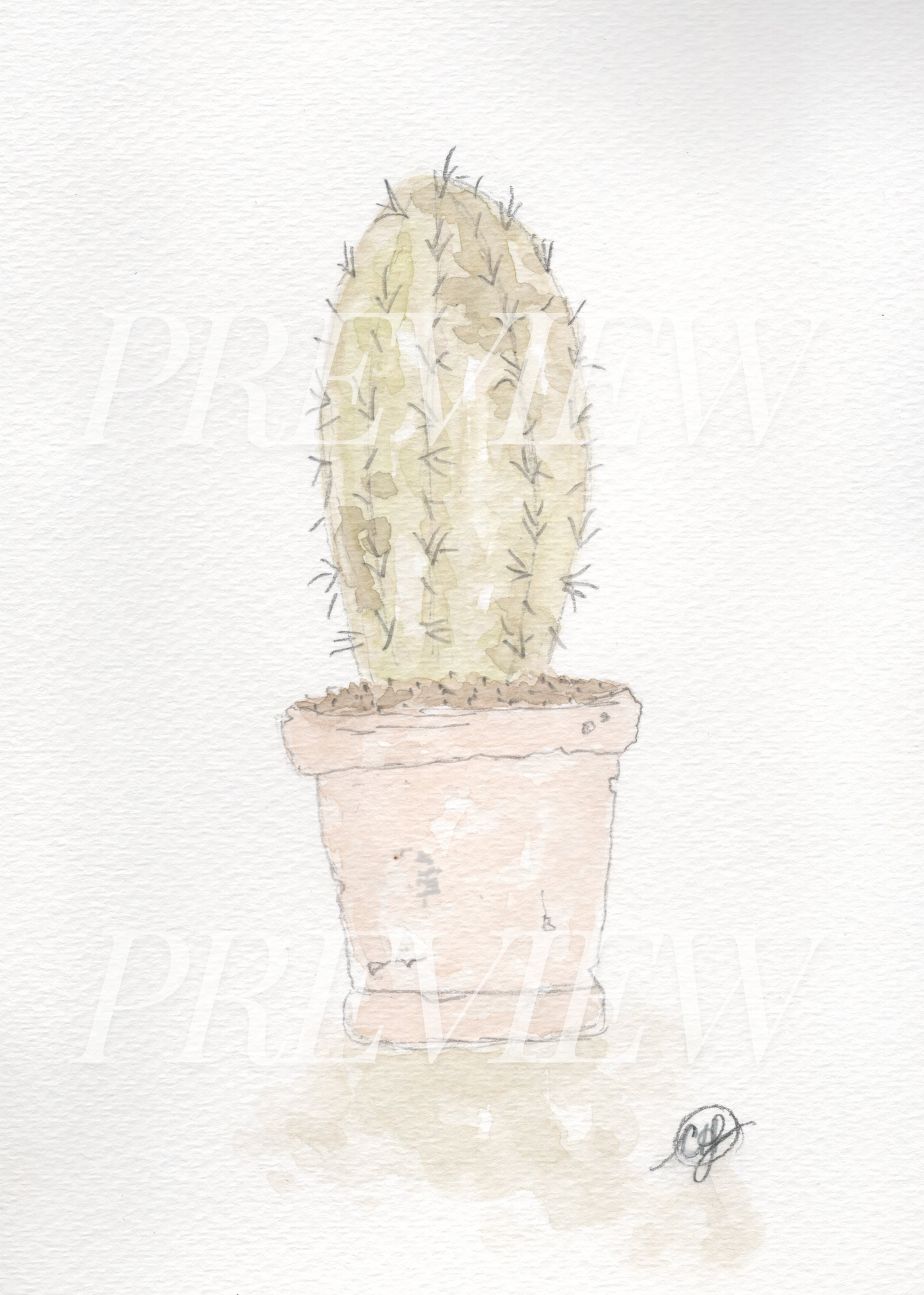 Plant Lady- Cactus collection set of 4 (5x7 Downloads)