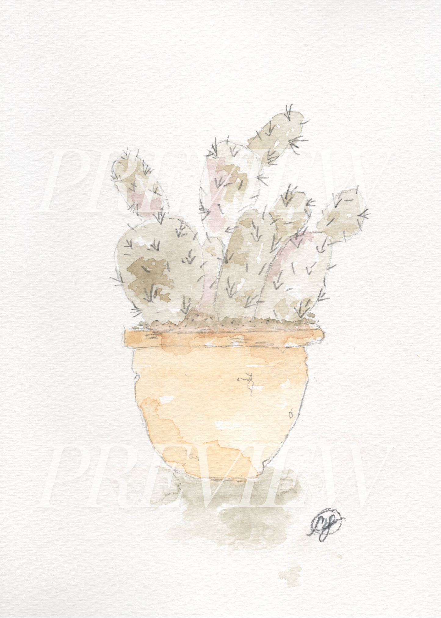 Plant Lady- Cactus collection set of 4 (5x7 Downloads)