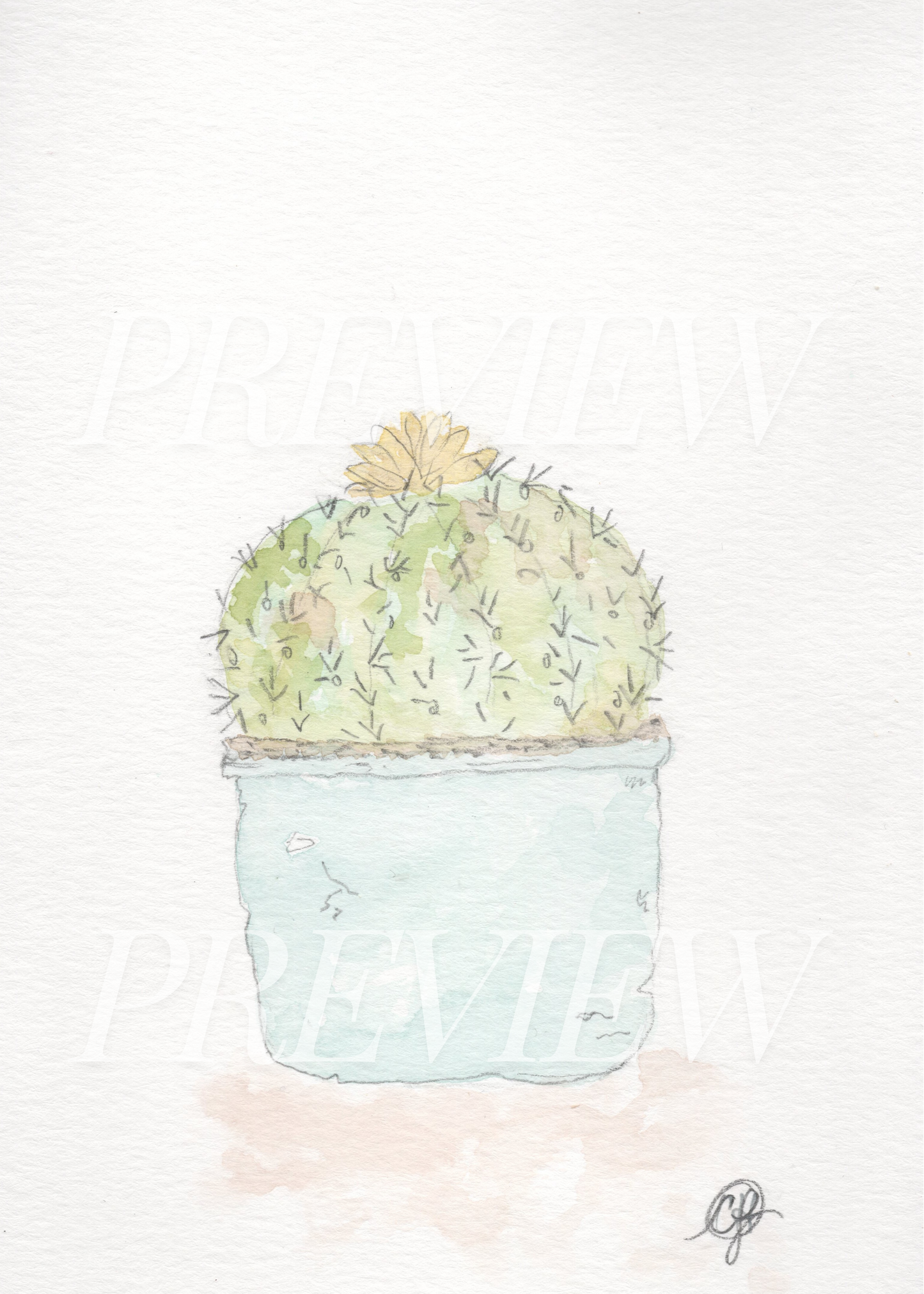 Plant Lady- Cactus collection set of 4 (5x7 Downloads)